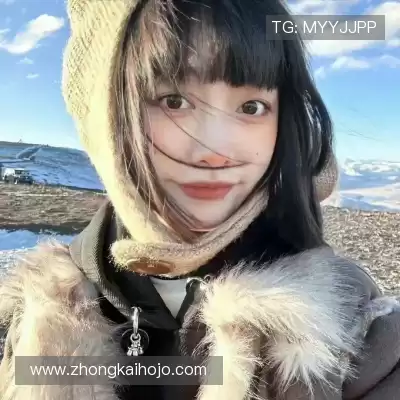 嵇蒙飚